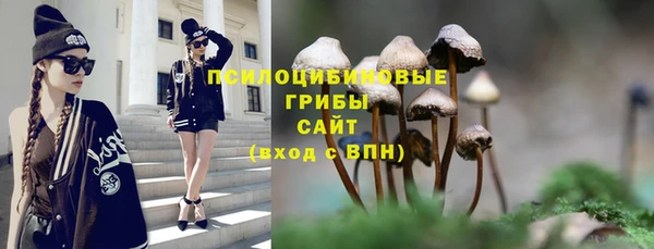 соль курить ск Михайловка