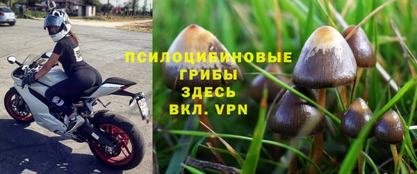 соль курить ск Михайловка