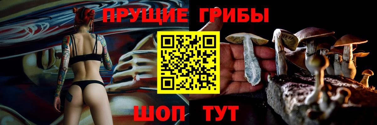 Комсомольск-на-Амуре  Псилоцибиновые грибы Psilocybine cubensis  Вход с VPN  Псилоцибиновые грибы GOLDEN TEACHER 